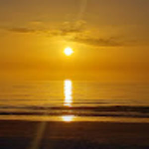 Meet your Posher, Wende